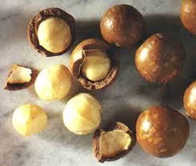 Another good Macadamia year