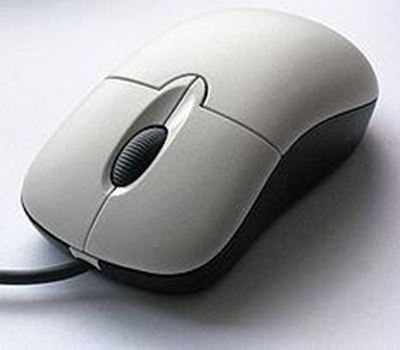 What can be learnt from computers?