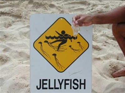 Dealing with a jellyfish sting