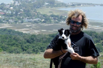 Sheepdogs herd in Knysna