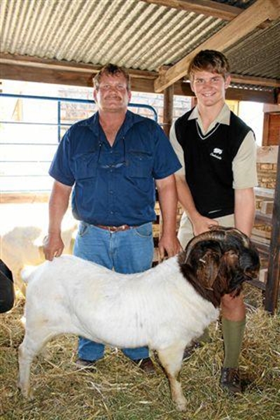 SA Boerbokke op Riversdal