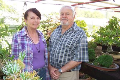 Bonsai in Oudtshoorn