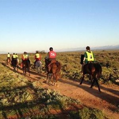 Grootste perde-Comrades in Suid-Kaap