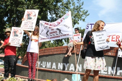 Protest against seal slaughter