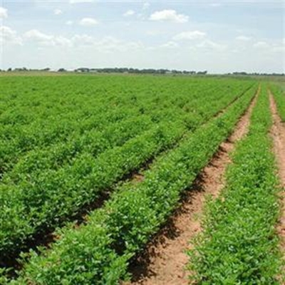 Agri Wes-Kaapse streekskongres in Suid-Kaap