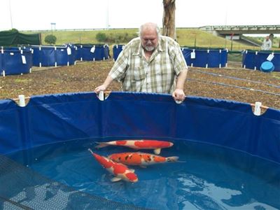 Local is Koi champion
