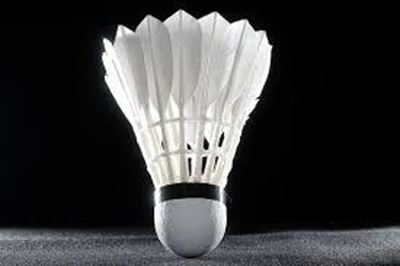 Top badminton players in action