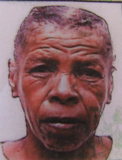 Search for missing woman (72) continues