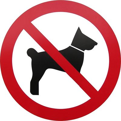 Honde op strande: Sê jou sê