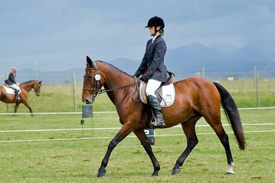 SANESA qualifier