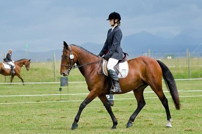 SANESA qualifier