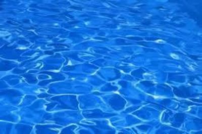 SWD swimmers shine at regionals