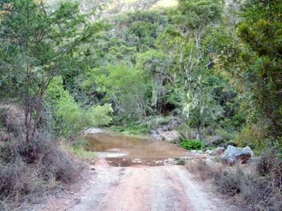 Hikers invited to help develop Baviaans trail