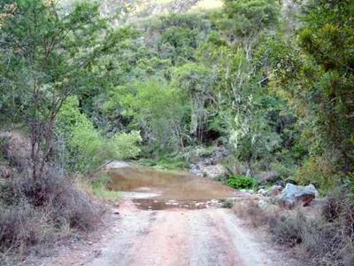 Hikers invited to help develop Baviaans trail