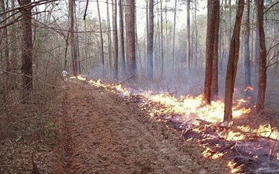 Firebreaks: Act according to the rules