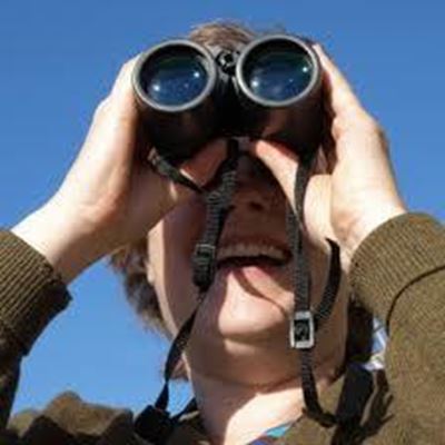 Bird identification, conservation course