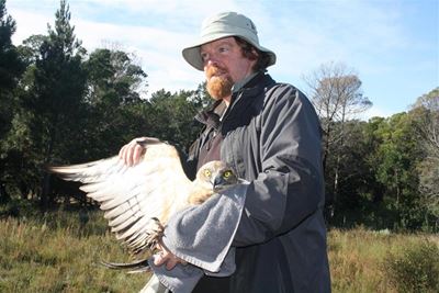 Snake Eagle set free