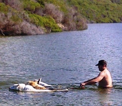 Garden Route's own dog whisperer