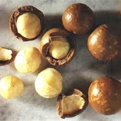 SAMAC launches code of ethics to protect Macadamia growers
