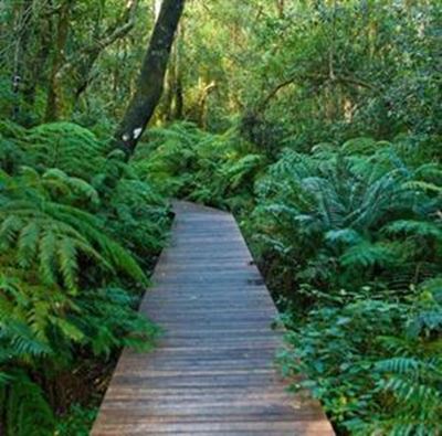 Naturalists meet at Kranshoek