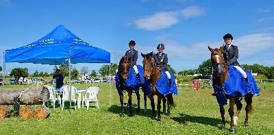York and Holy Cross leading SANESA series