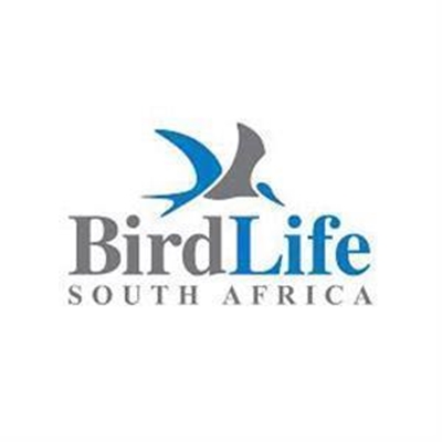 'Flight for Birders' this week