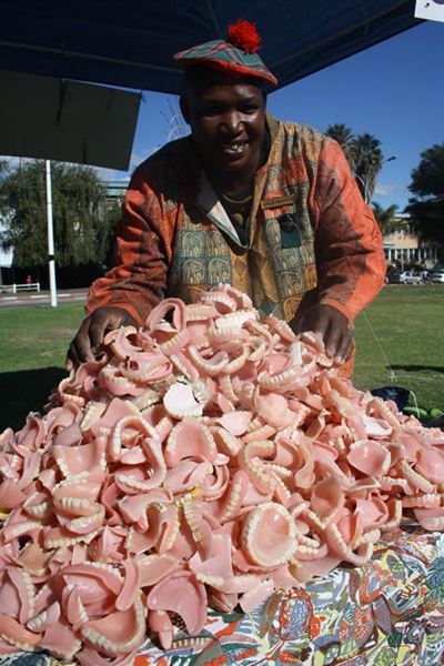 Die 'tandmuis' is in Oudtshoorn