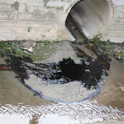 Polluted water flowing to Knysna Lagoon