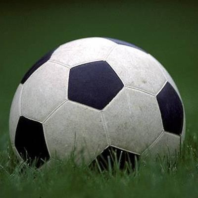 US hosts Panama qualifier on temporary grass