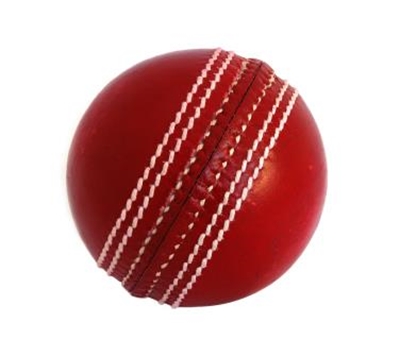 Cricket scorers AGM