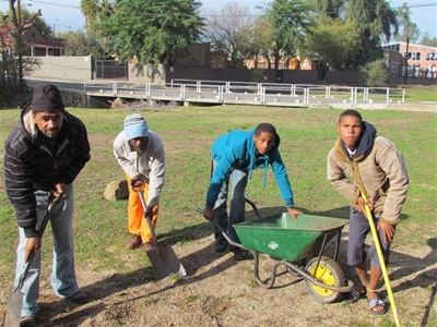 Dromers maak Oudtshoorn mooi