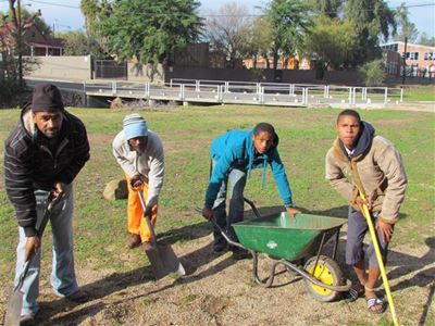 Dromers maak Oudtshoorn mooi
