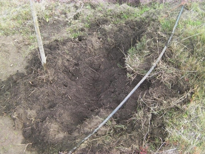 Boere raadop met bosvarke
