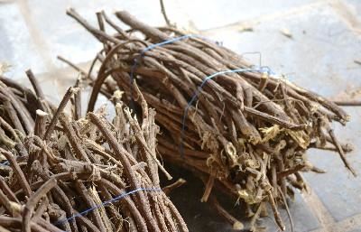 Dysselsdorp het enigste soethout-aanleg in SA