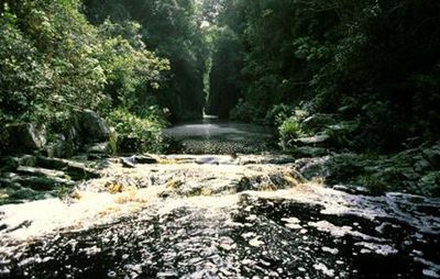 Garden Route National Park has adventurous plans