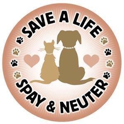 Animal sterilization day this Saturday