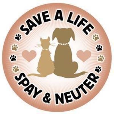 Animal sterilization day this Saturday