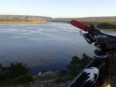 Mountain bikers set for whale of a time