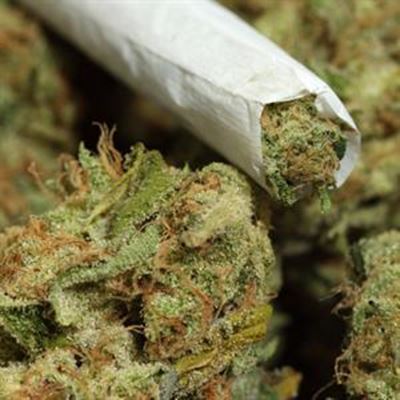 Massive drug bust in Beaufort-West