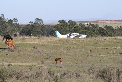 Vliegtuig maak noodlanding langs N2