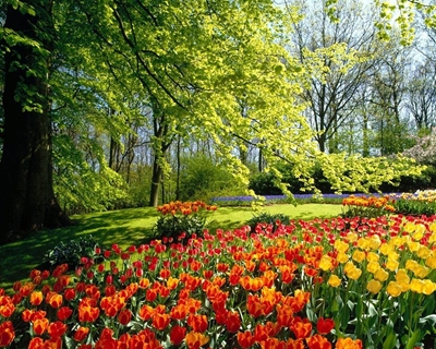 How to enjoy spring