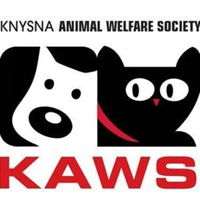 Support KAWS fundraiser