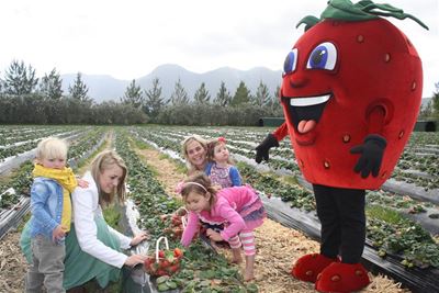 Strawberry Festival this weekend