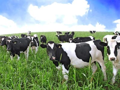 Inligtingsdag vir boere
