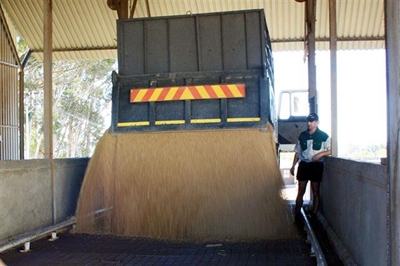 Oakdale lewer eerste koring