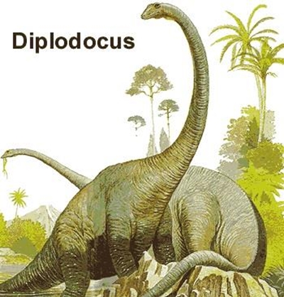 Misty the diplodocus skeleton to go on auction