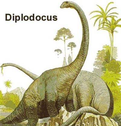 Misty the diplodocus skeleton to go on auction