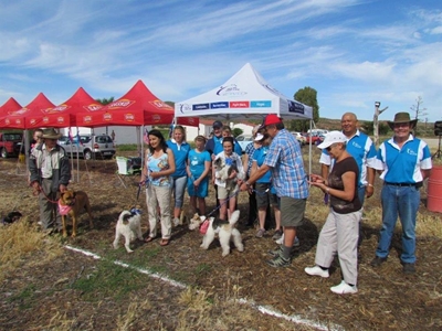Bark for Life dié Saterdag