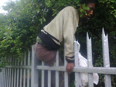 Trespasser gets stuck on palisade fence