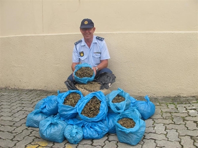R150 000 drug bust in Knysna